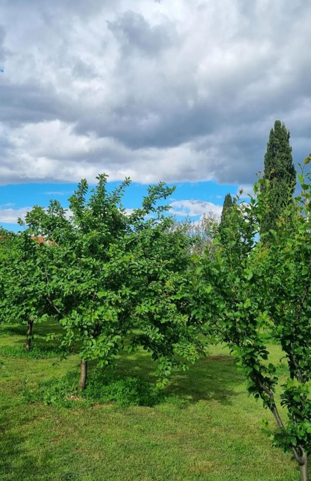 Matija Airport Apartman Podgorica